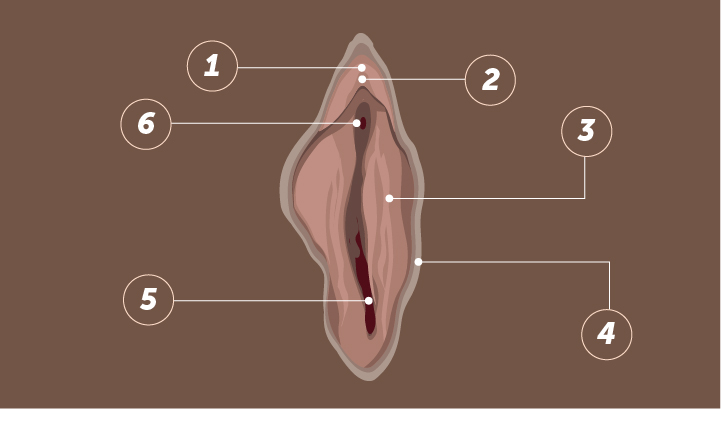 How To Find The Clit